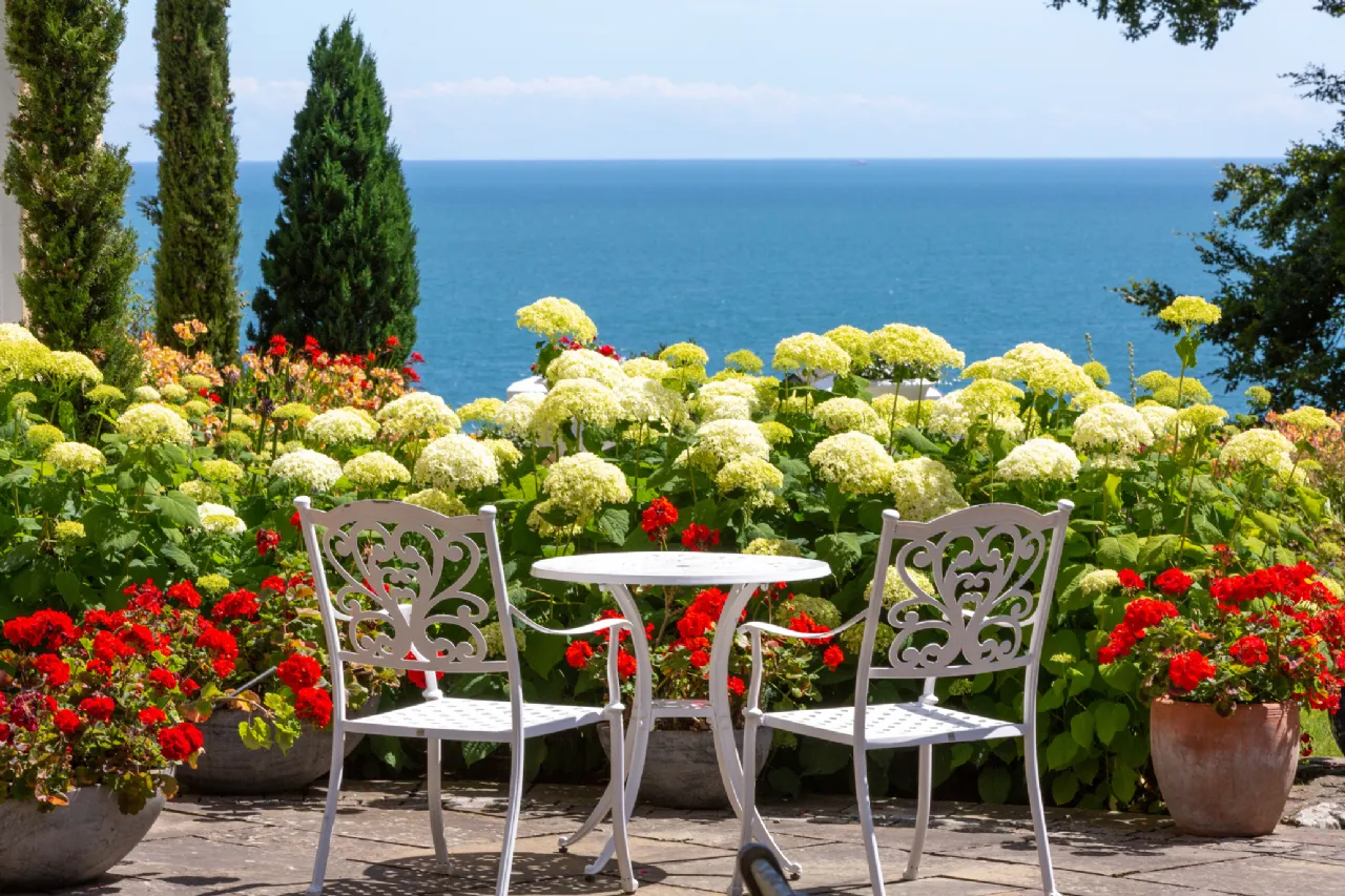 Kilmore, Killiney hydrangeas with sea view